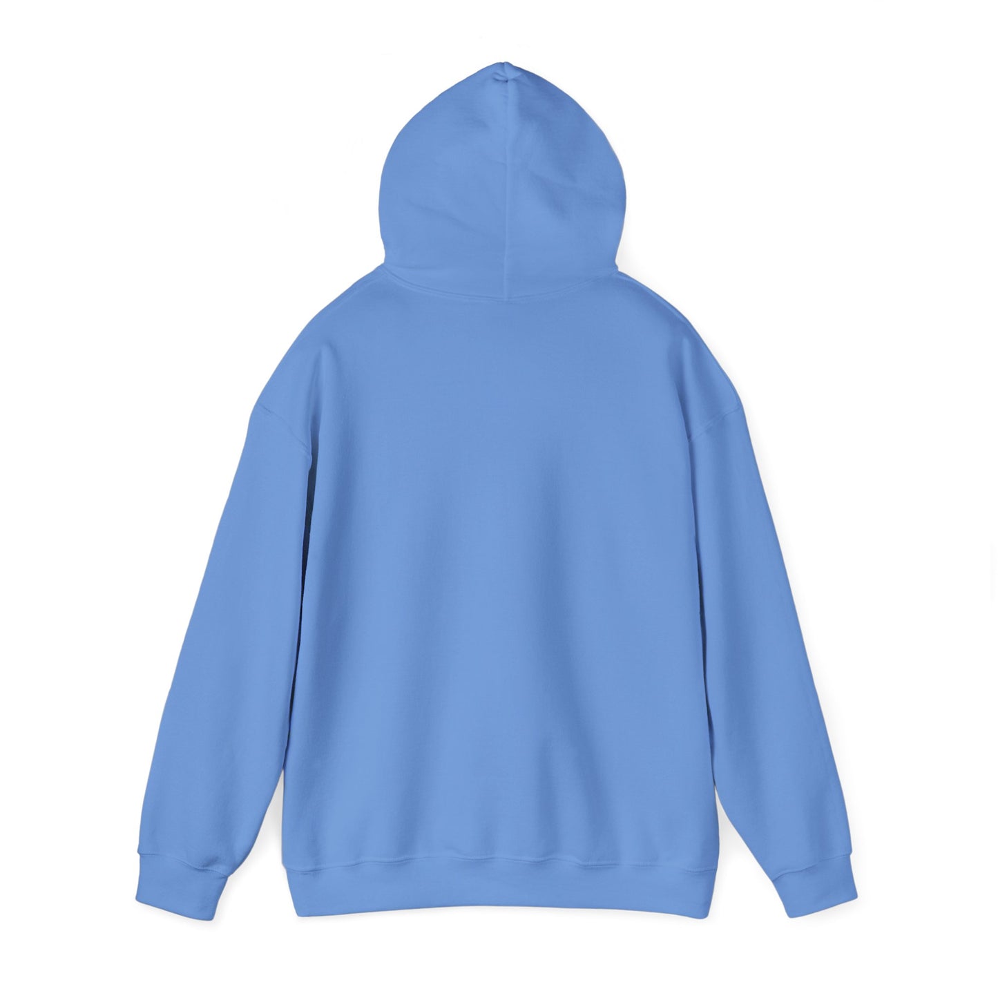 Salt And Light Heavy Blend™ Hooded Sweatshirt