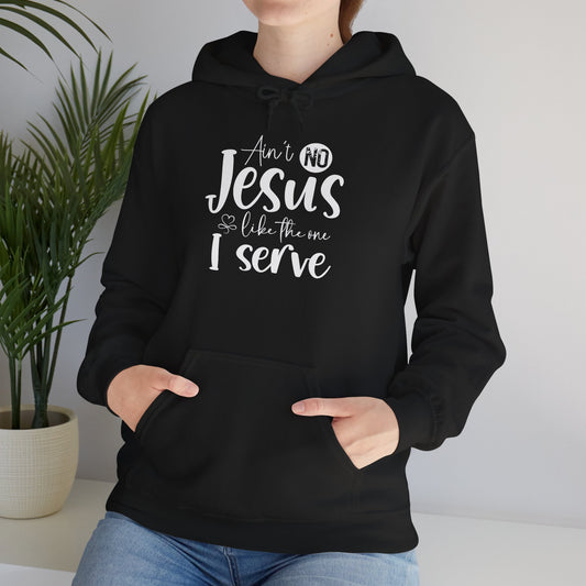 Ain’t No Jesus Like The One I Serve Heavy Blended Hoodie
