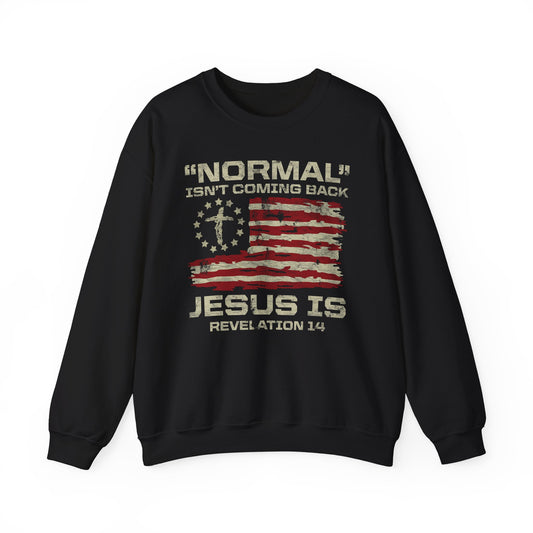 Men's Sweatshirt - Normal Isn't Coming Back Jesus Is