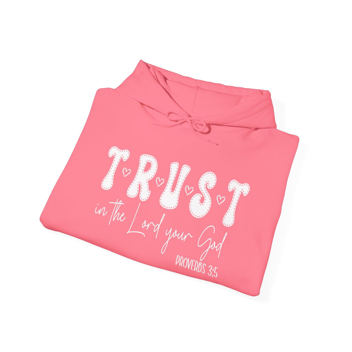 Trust In The Lord Heavy Blended Hoodie
