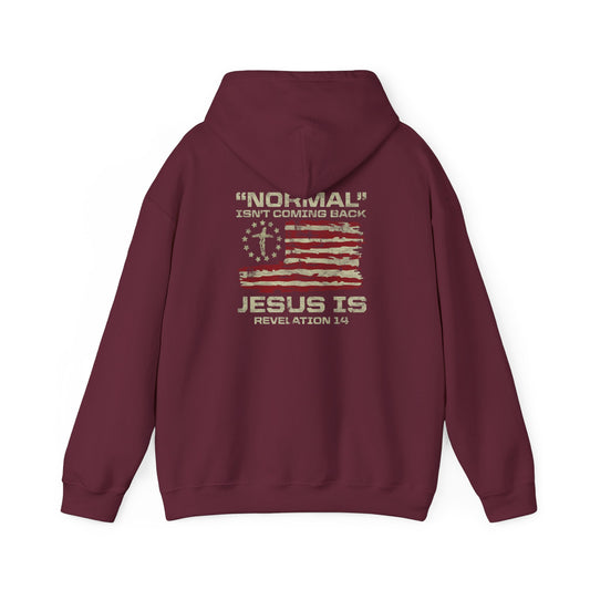 Heavy Blend Hoodie - Normal Isn't Coming Back Jesus Is