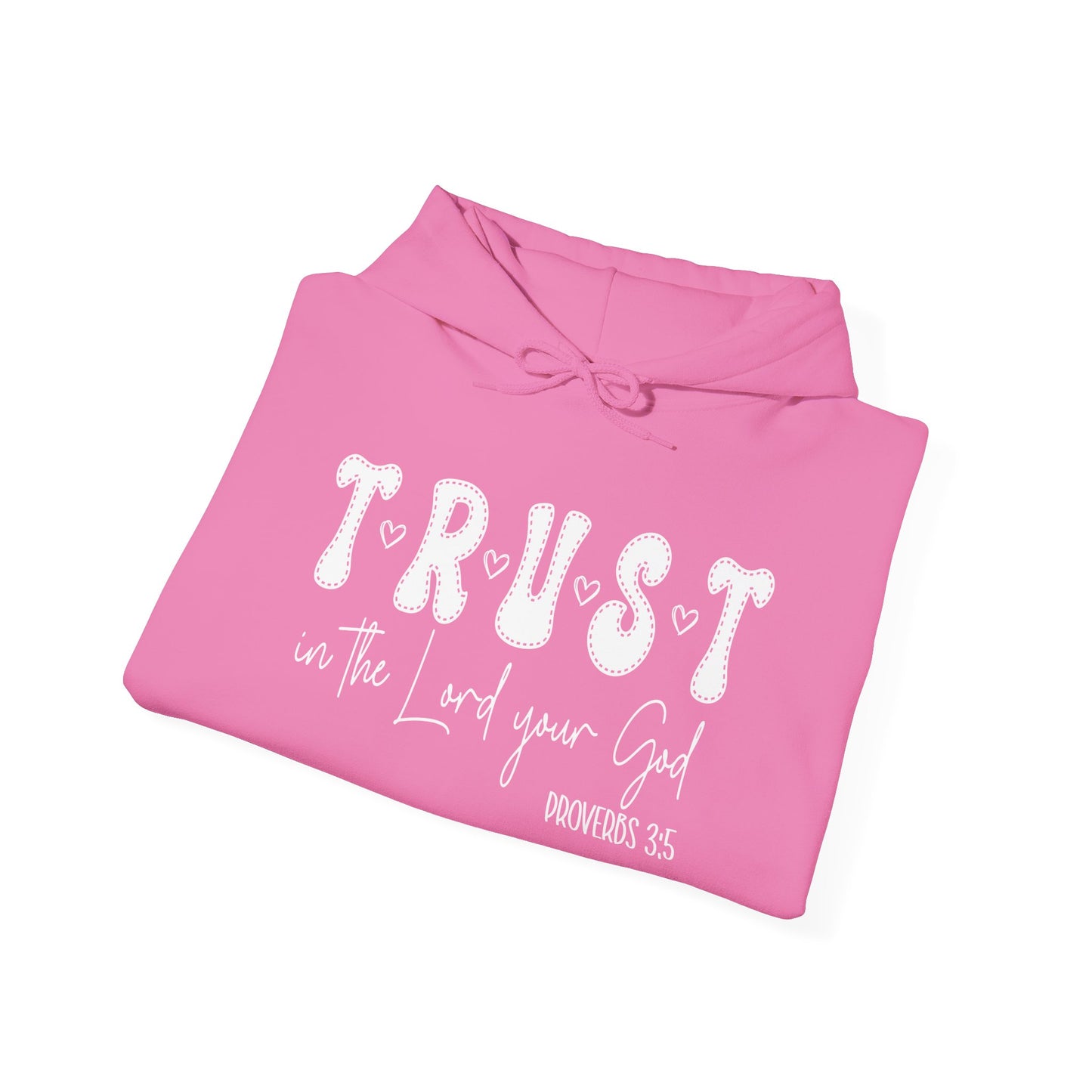 Trust In The Lord Heavy Blended Hoodie